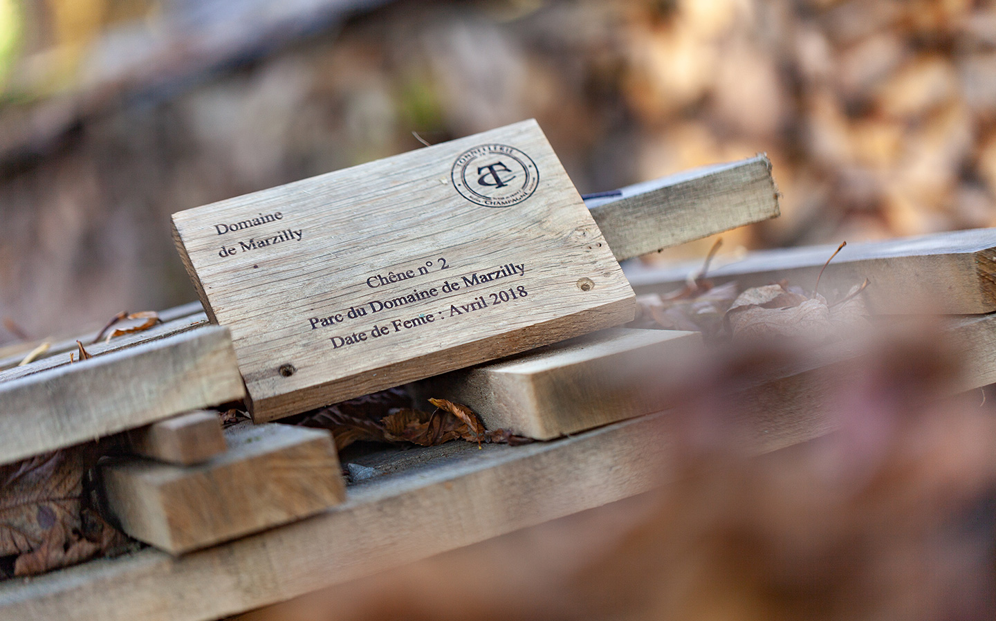Vinification en fûts de chênes