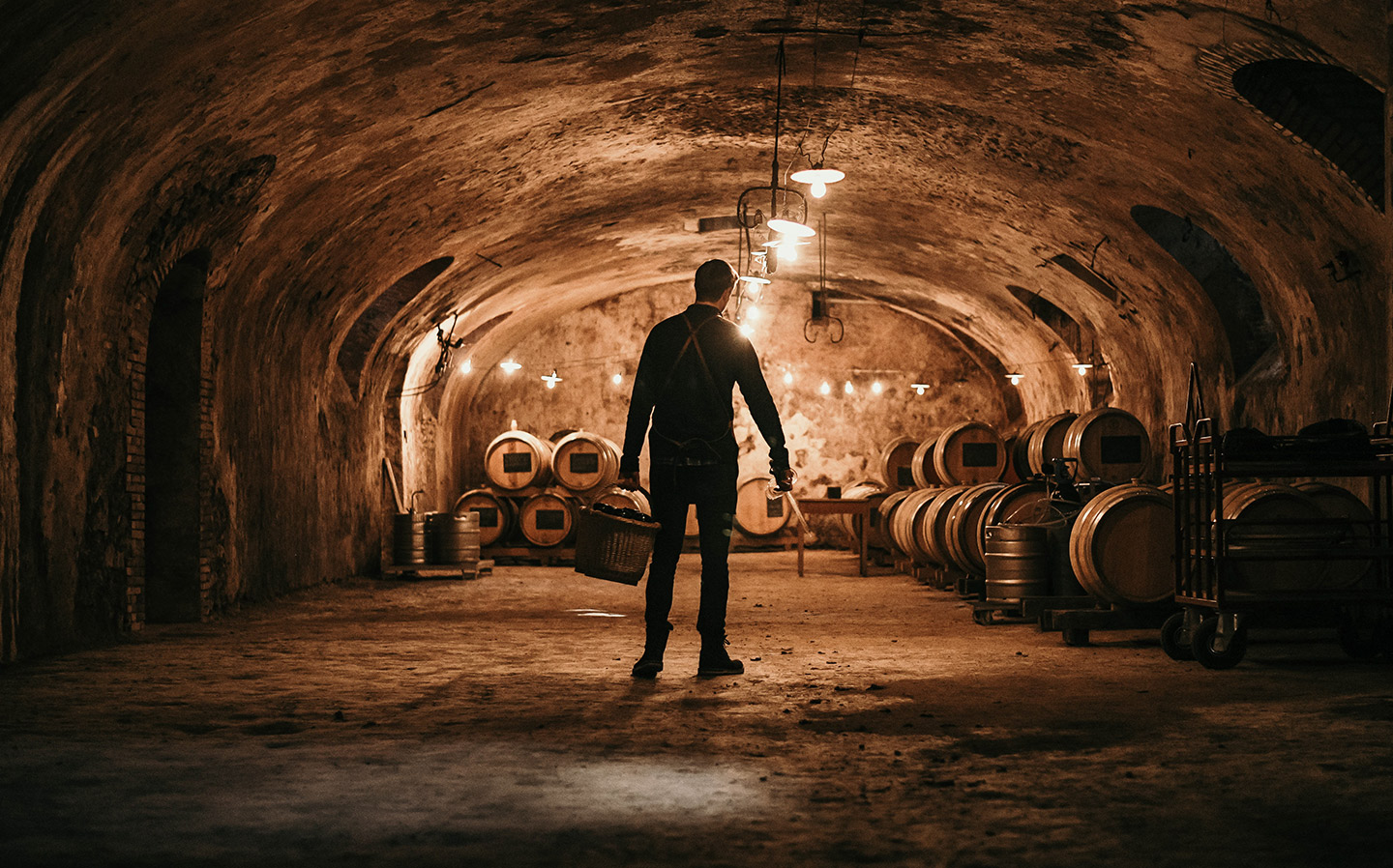 La cave en vieille pierre du Domaine de Marzilly