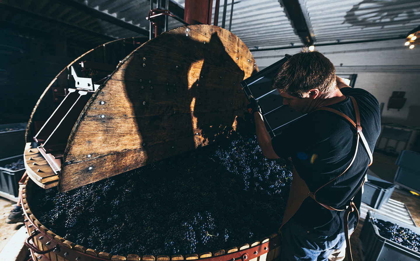 L'ancien pressoir champenois Coquard